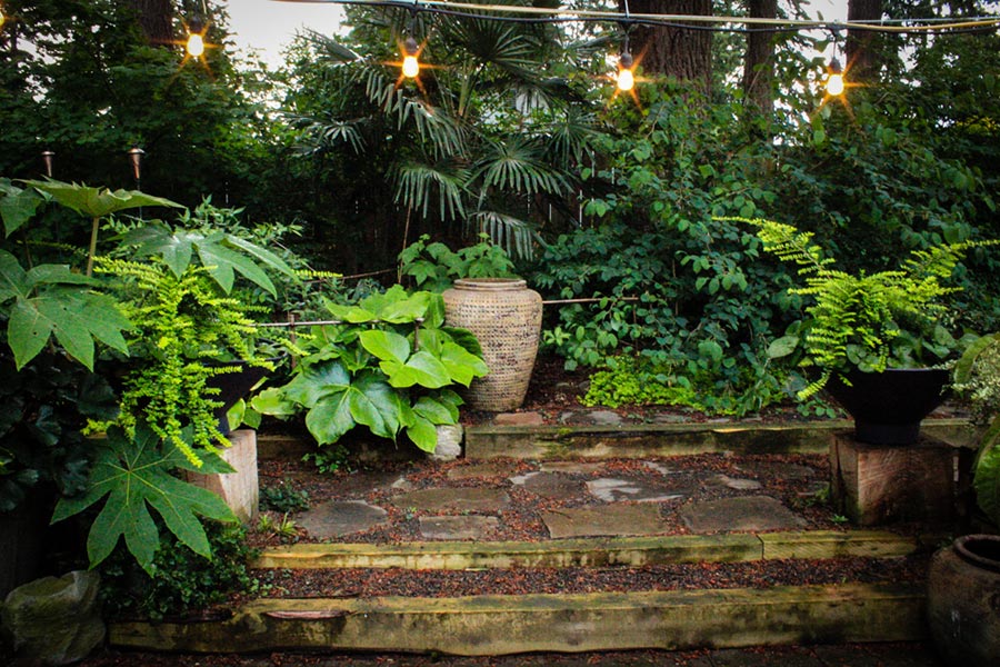 Gardening With Big Trees - Laura Heldreth