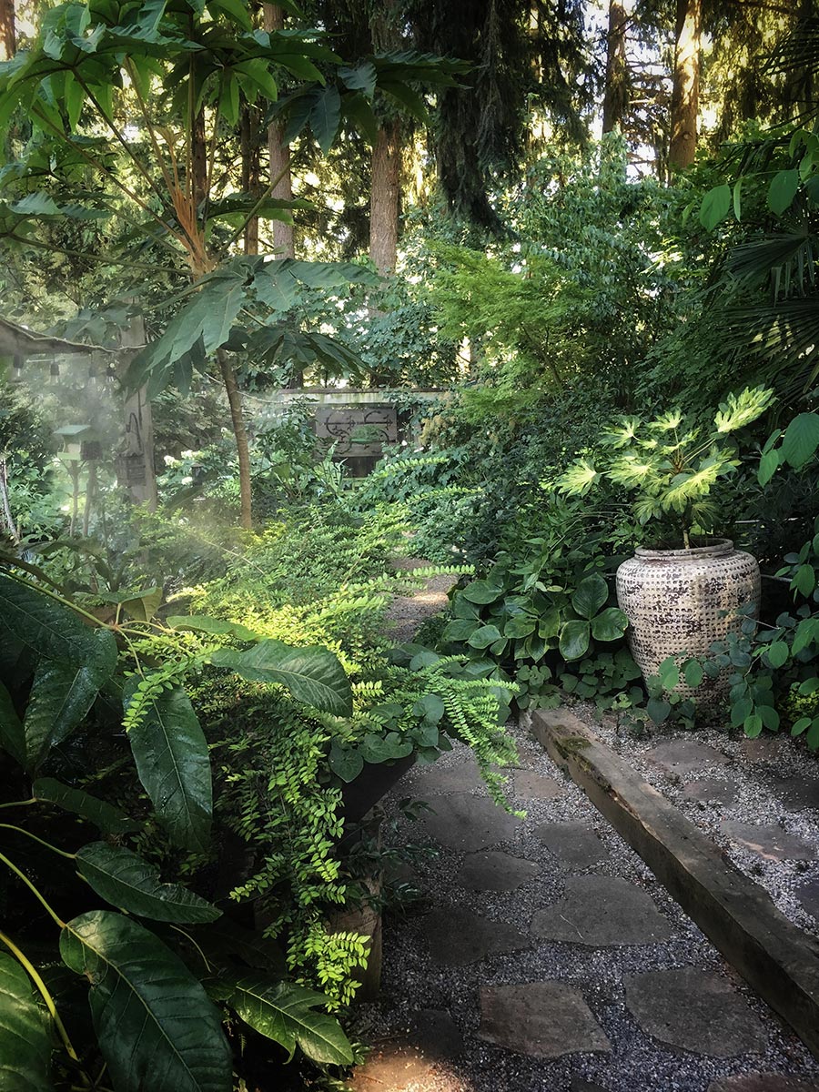 Gardening With Big Trees - Laura Heldreth