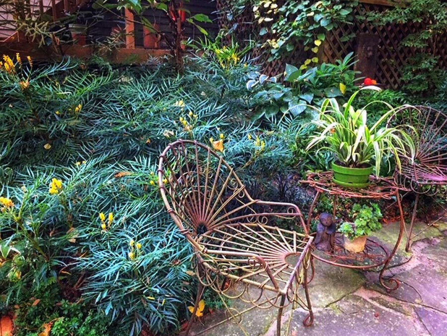 Gardening With Big Trees - Laura Heldreth