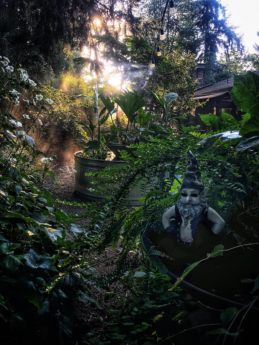 Gardening With Big Trees - Laura Heldreth