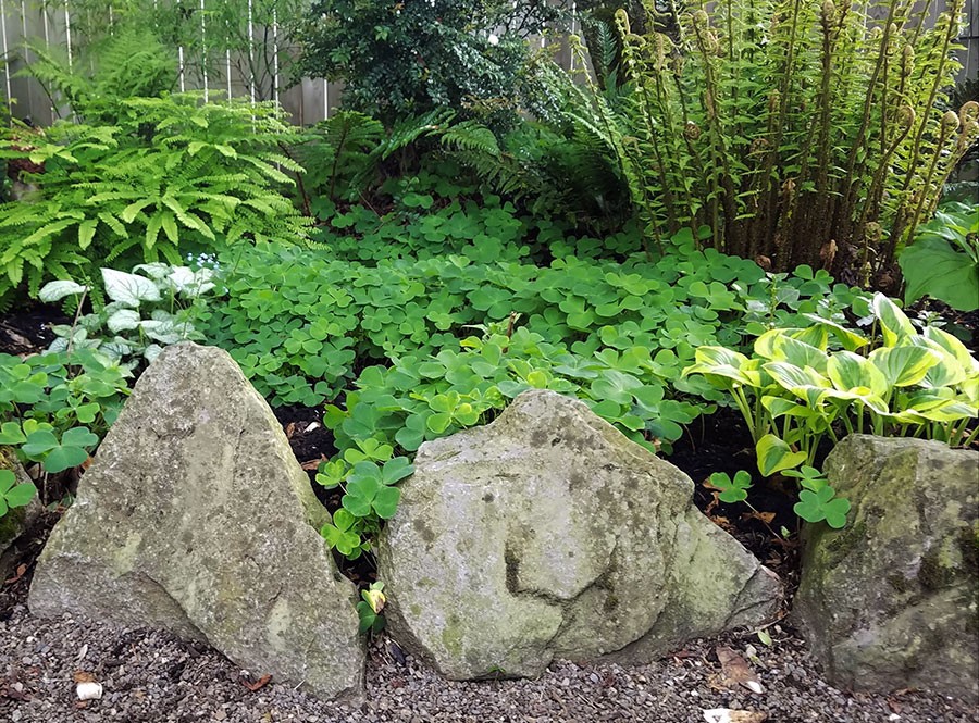 Gray Basalt Rock Border