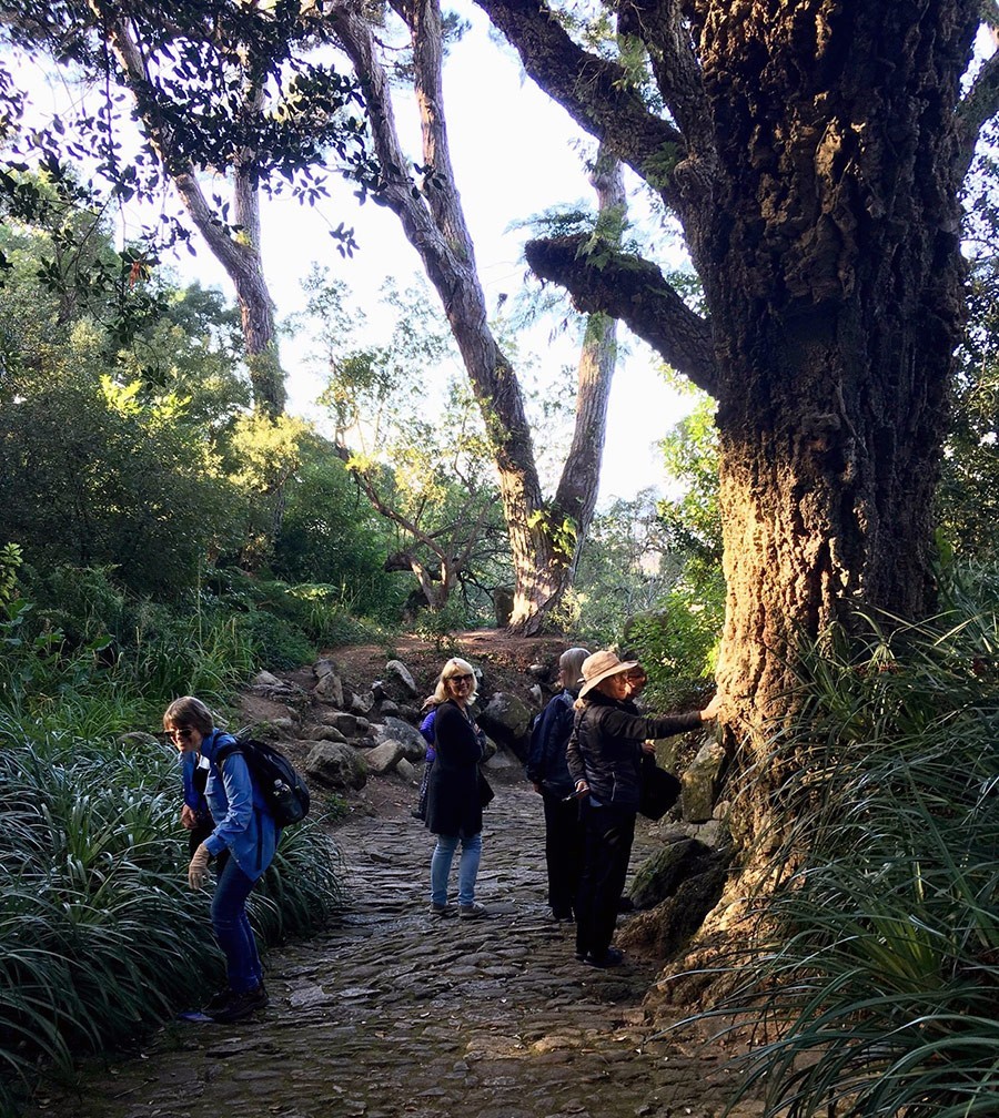 HPSO Garden Tour Portugal 2017