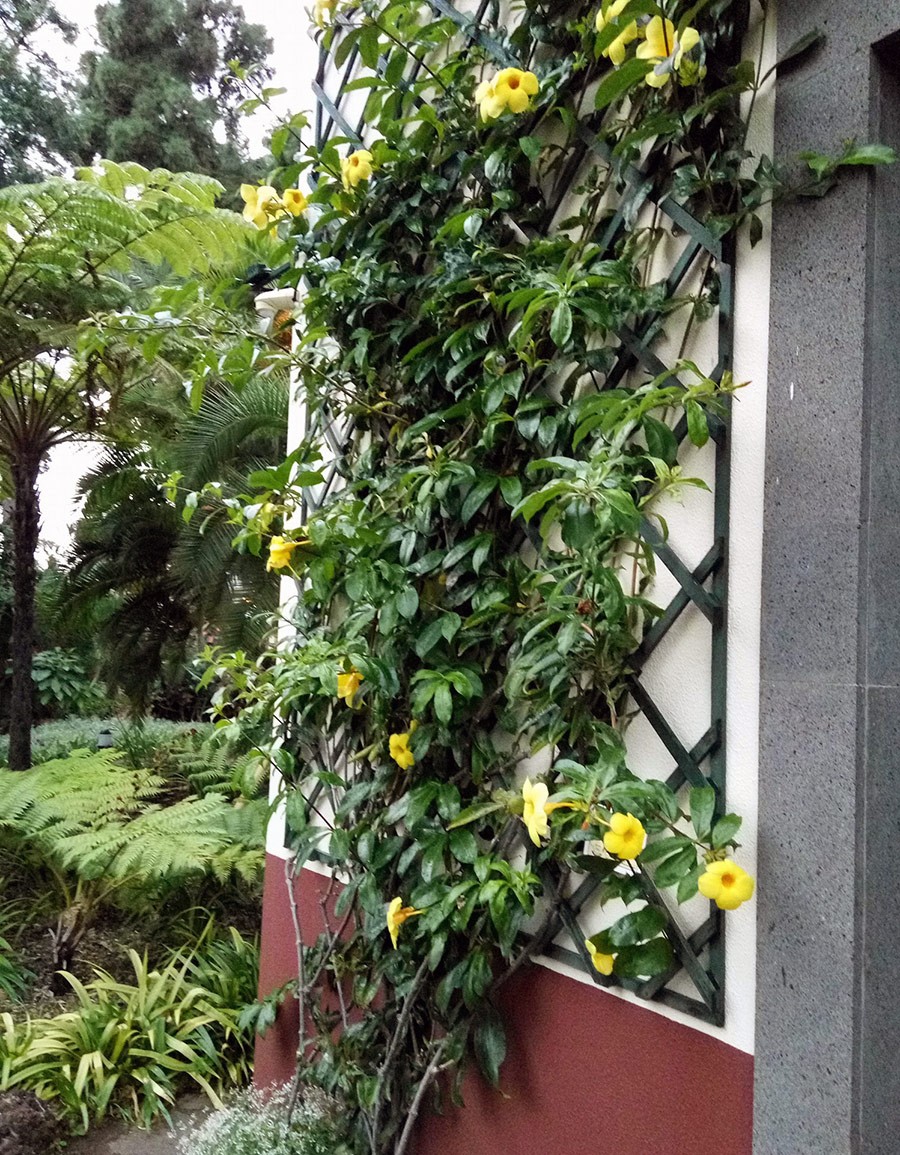 HPSO Garden Tour Portugal 2017