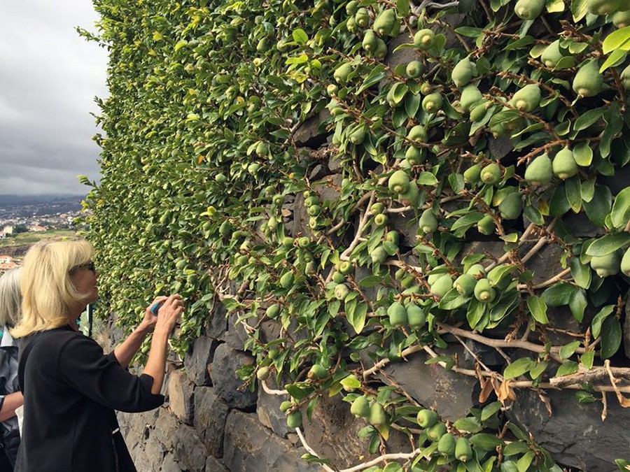 HPSO Garden Tour Portugal 2017