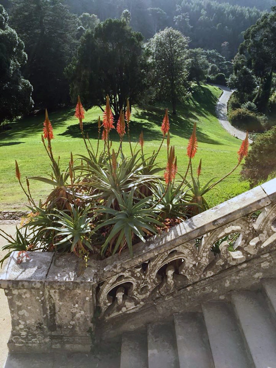 HPSO Garden Tour Portugal 2017