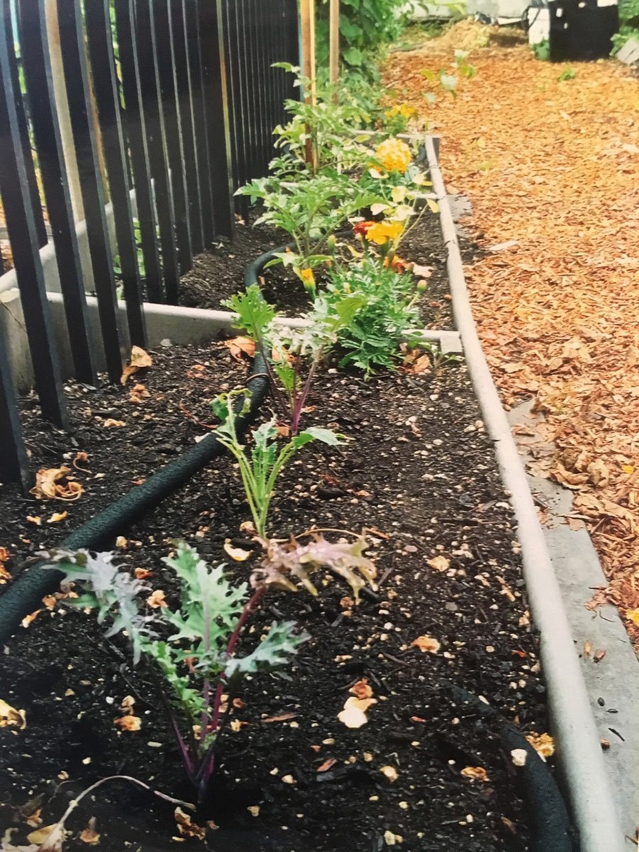 Raphael House, SE Portland