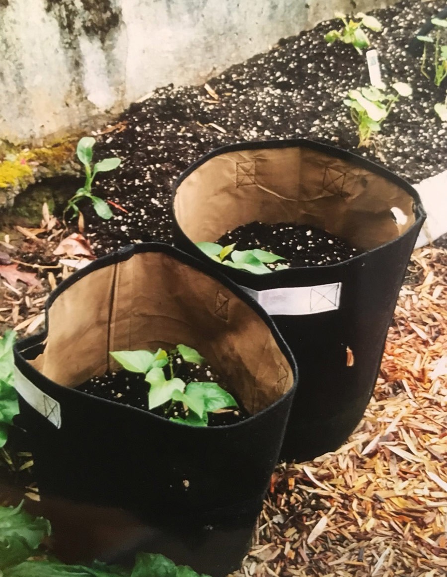 Raphael House, SE Portland