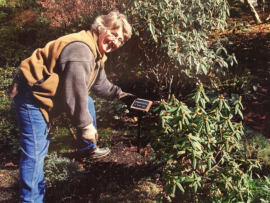 The Connie Hansen Garden Conservancy