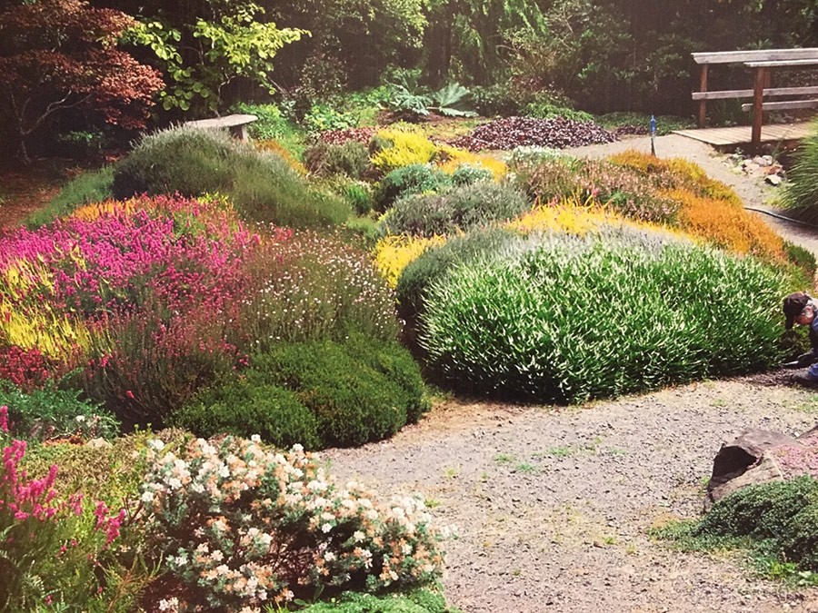 The Connie Hansen Garden Conservancy