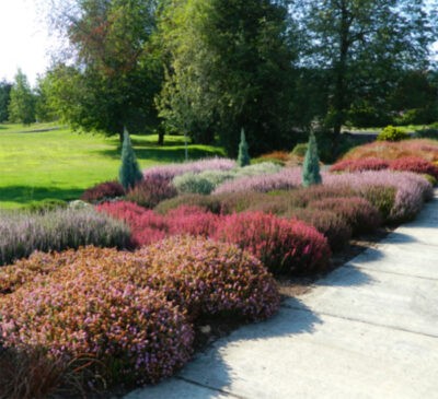 Heather Garden at Cottage Grove Community Hospital