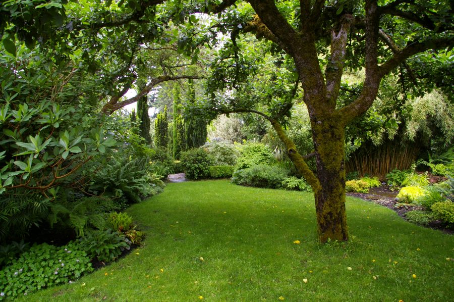 We always try to frame views and give a sense of depth to our garden.