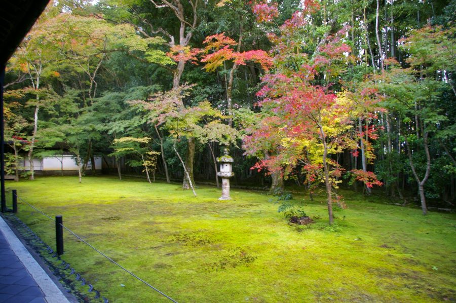 Maurice Horn Blog Profile: The Zen garden at Kōtō-in, Kyoto, Japan