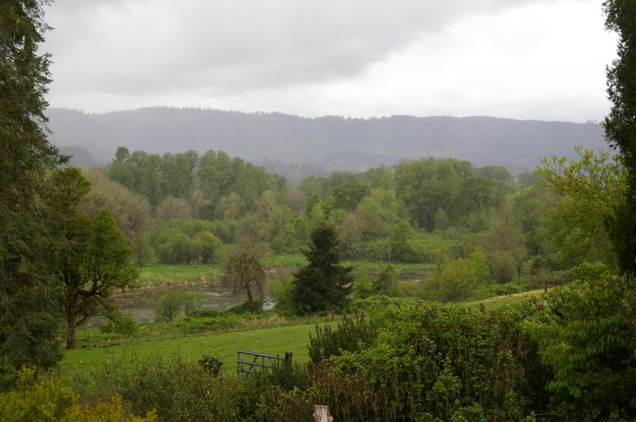 We design our garden to open out to views like this.