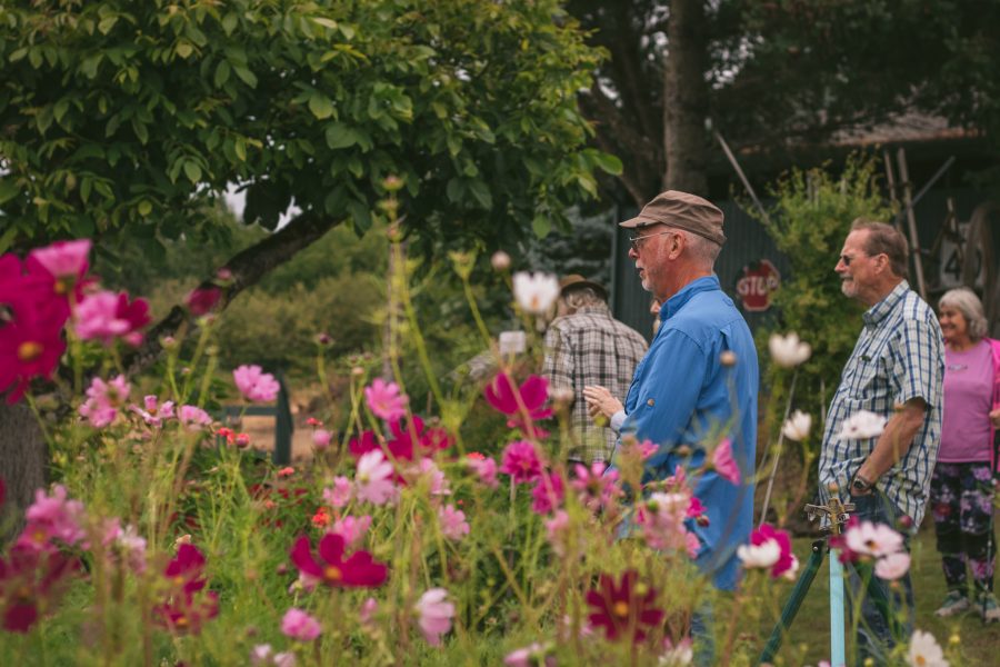 HPSO Member Garden Tour