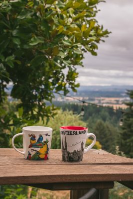 HPSO member garden tour