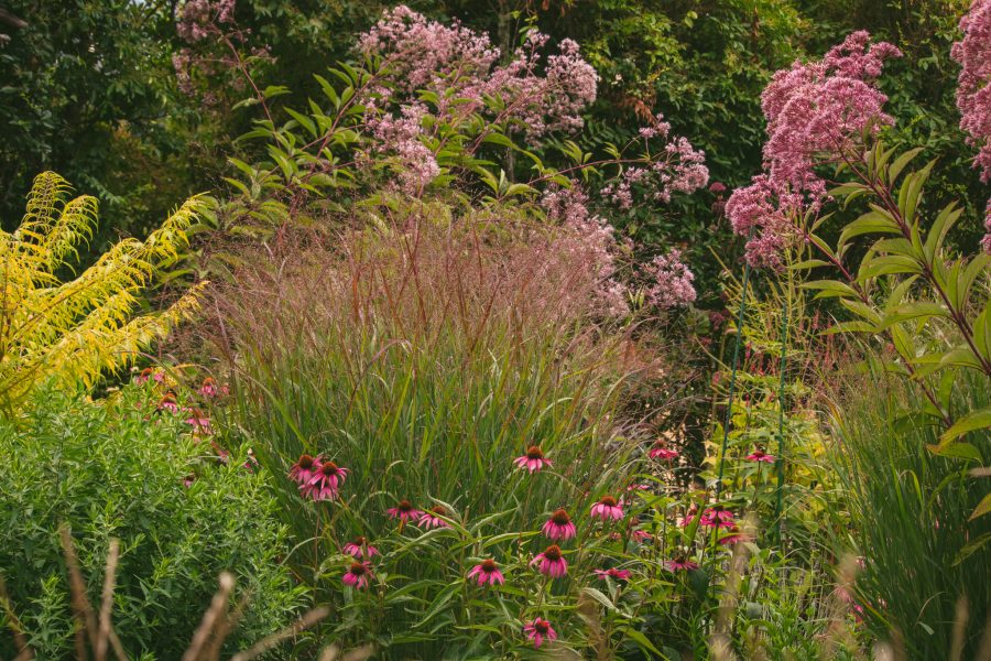 HSPO Member Garden Tour