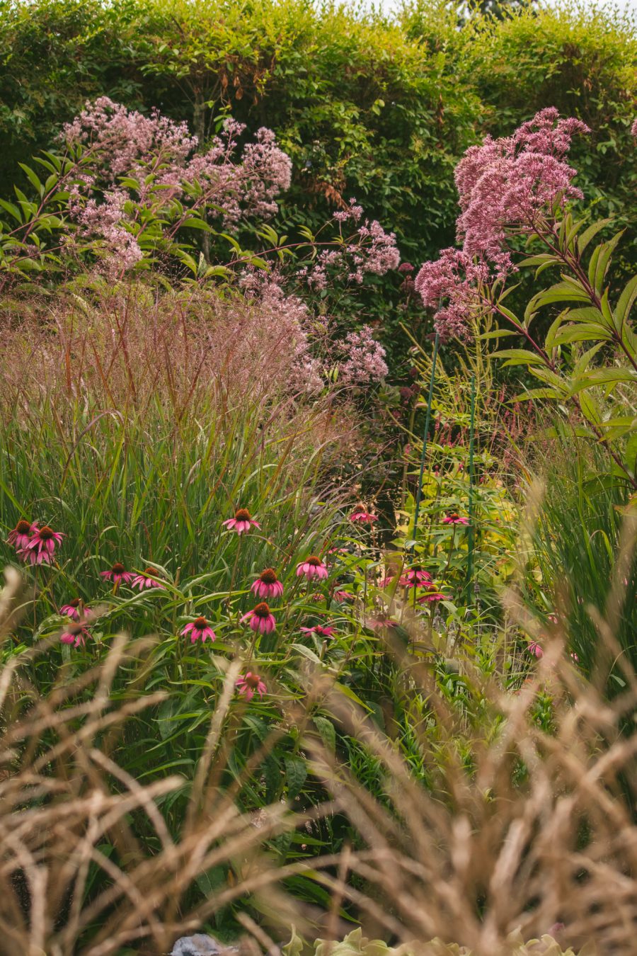 HSPO member garden tour