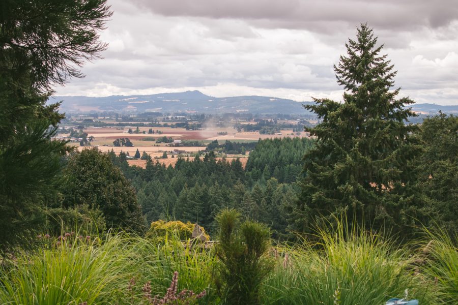 HPSO Member Garden tour