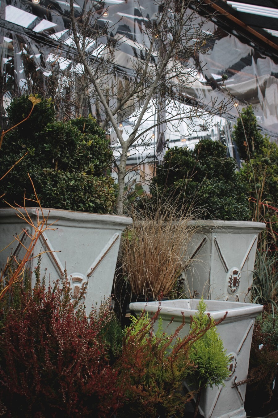 Garden Design for Winter Interest with Pomarius Nursery