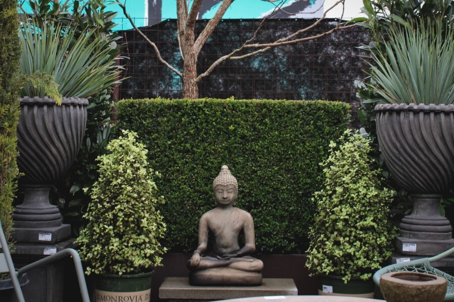 Garden Design for Winter Interest with Pomarius Nursery