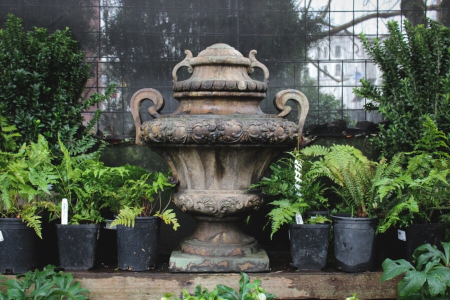 Garden Design for Winter Interest with Pomarius Nursery