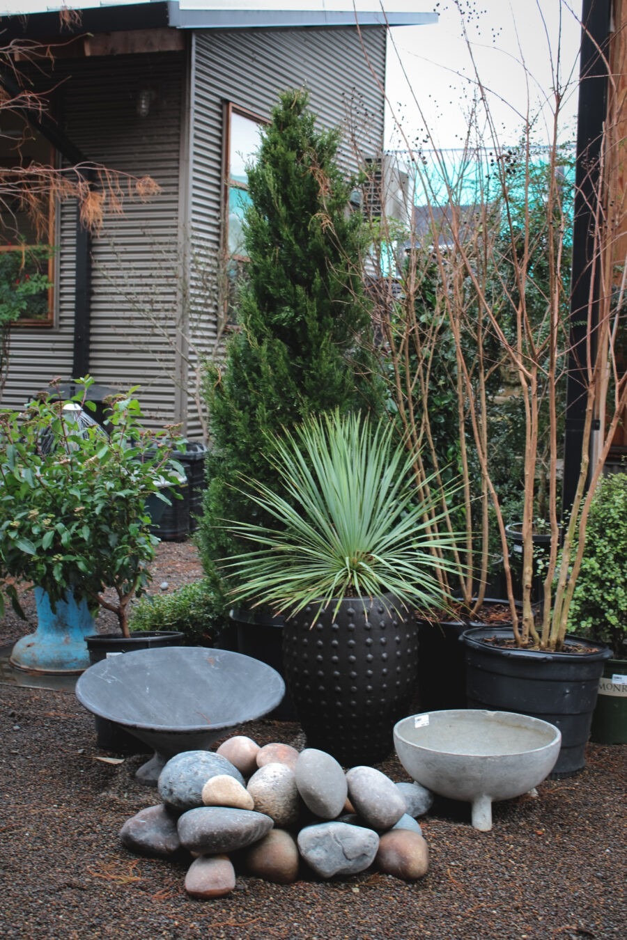 Garden Design for Winter Interest with Pomarius Nursery