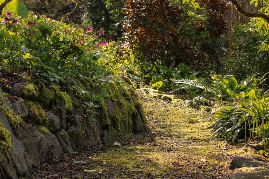 Old Germantown Gardens