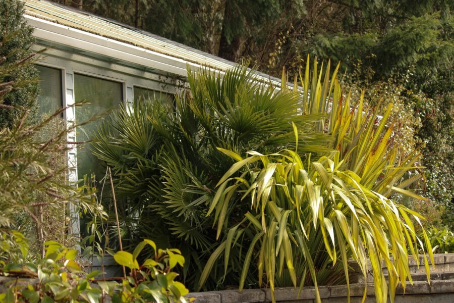 Old Germantown Gardens