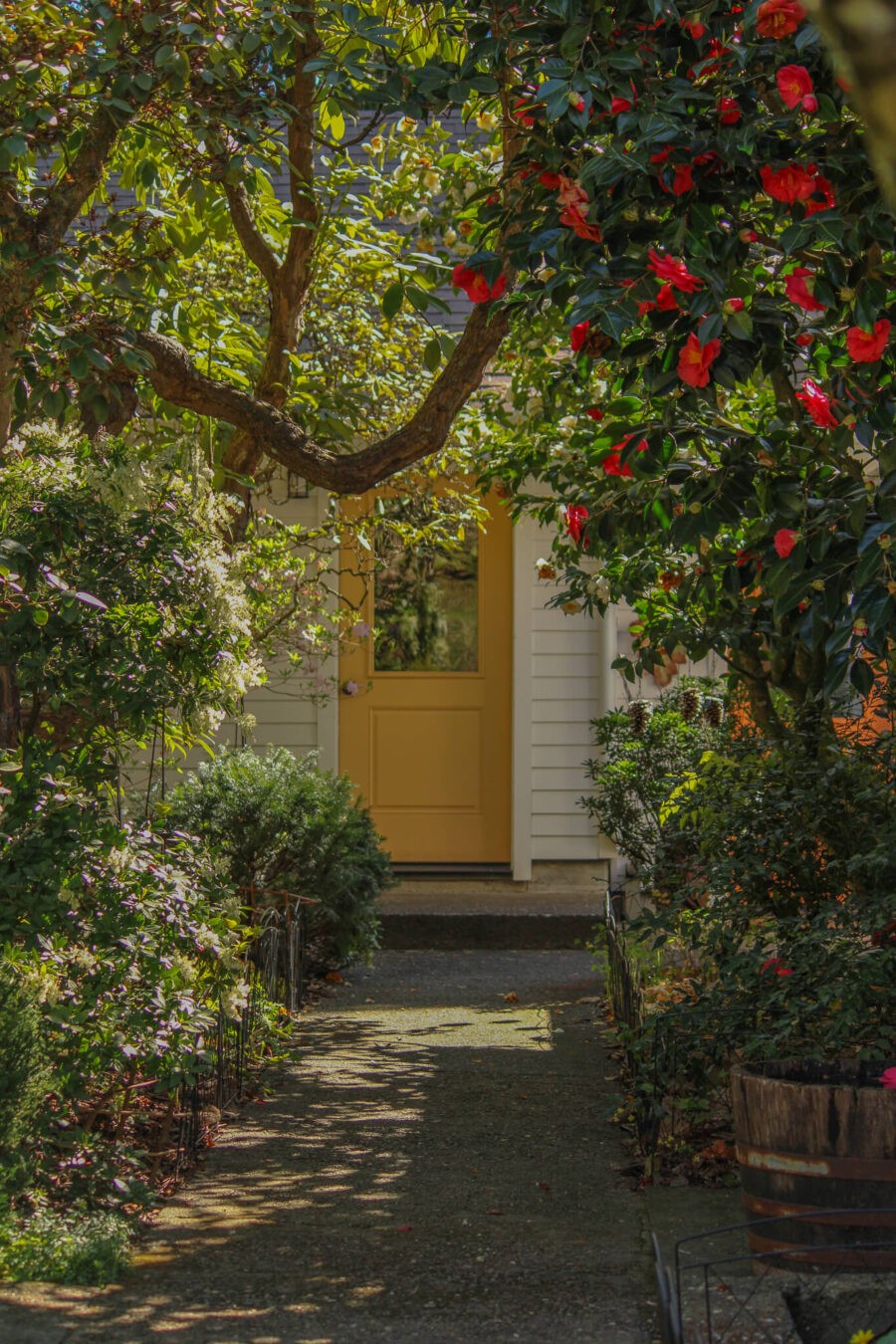 Member Garden Tour: Kathleen of Old Hurlburt School Gardens