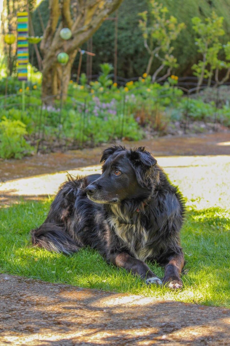 Member Garden Tour: Kathleen of Old Hurlburt School Gardens