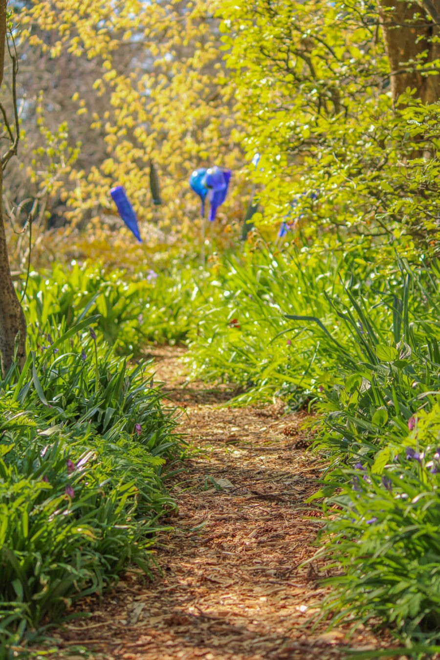 Member Garden Tour: Kathleen of Old Hurlburt School Gardens