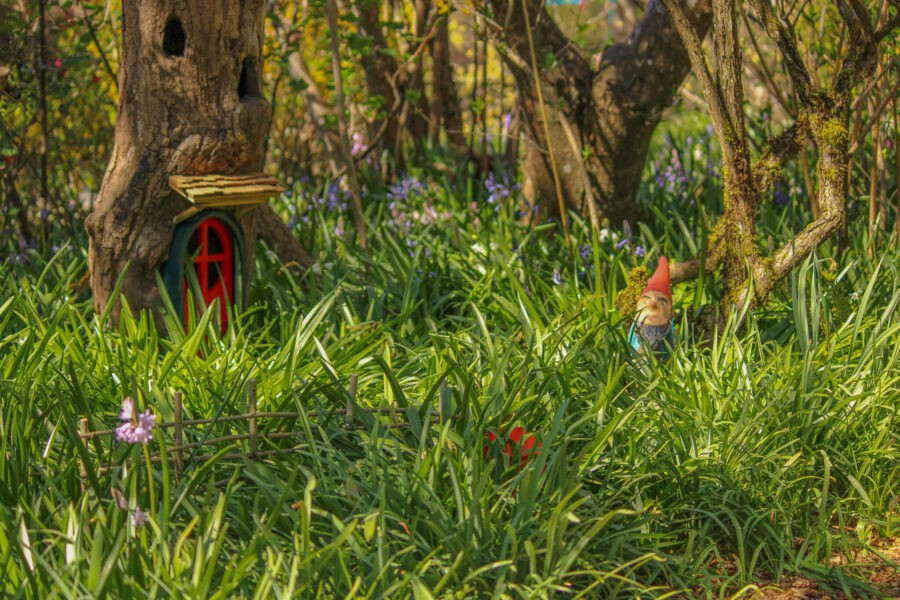 Member Garden Tour: Kathleen of Old Hurlburt School Gardens