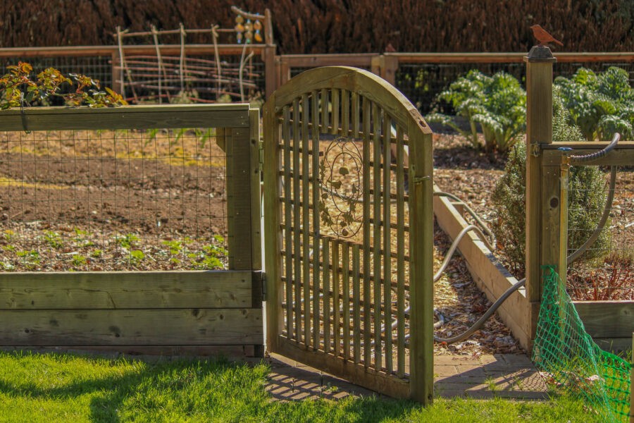 Member Garden Tour: Kathleen of Old Hurlburt School Gardens