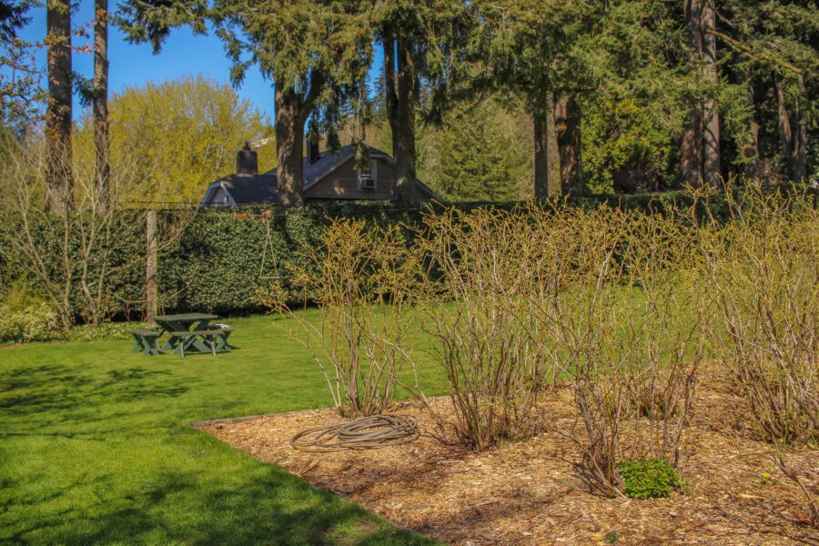 Member Garden Tour: Kathleen of Old Hurlburt School Gardens