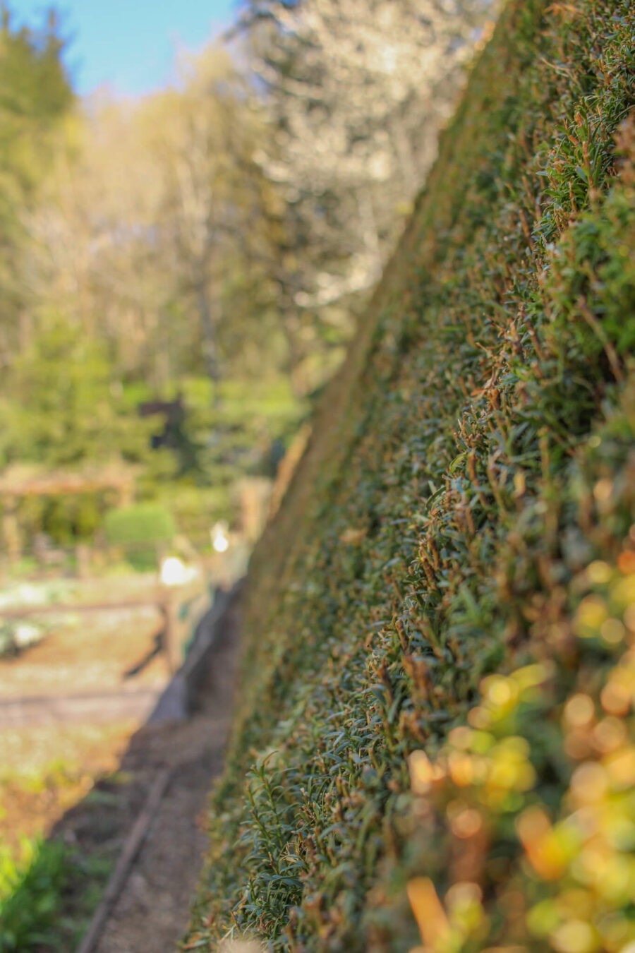 Member Garden Tour: Kathleen of Old Hurlburt School Gardens