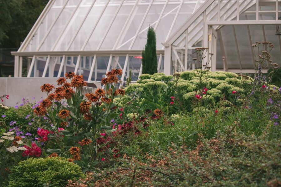 member garden tour lux perennials