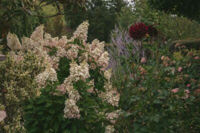 member garden tour lux perennials