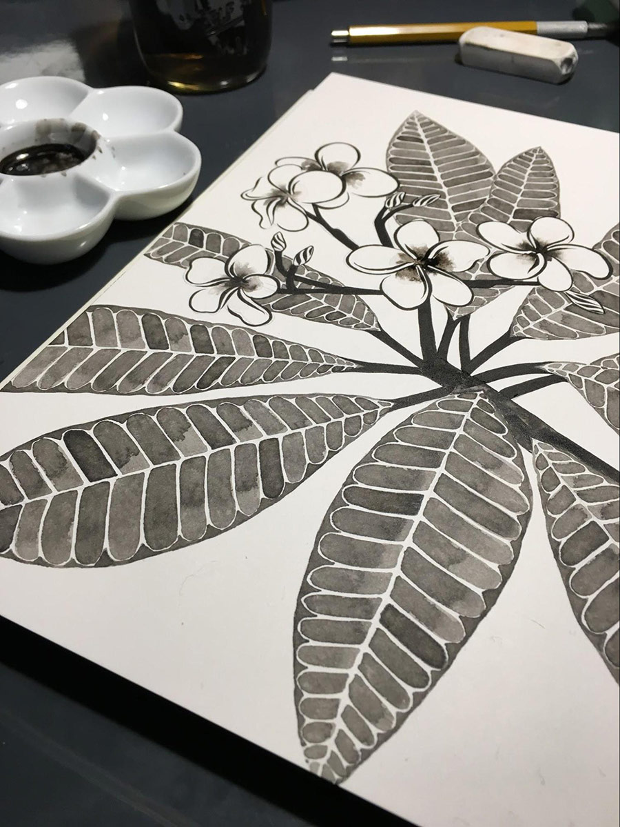 Kate Blairstone Botanical Illustration