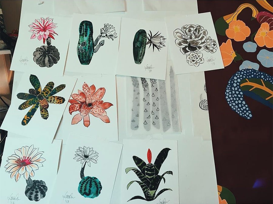 Kate Blairstone Botanical Illustration