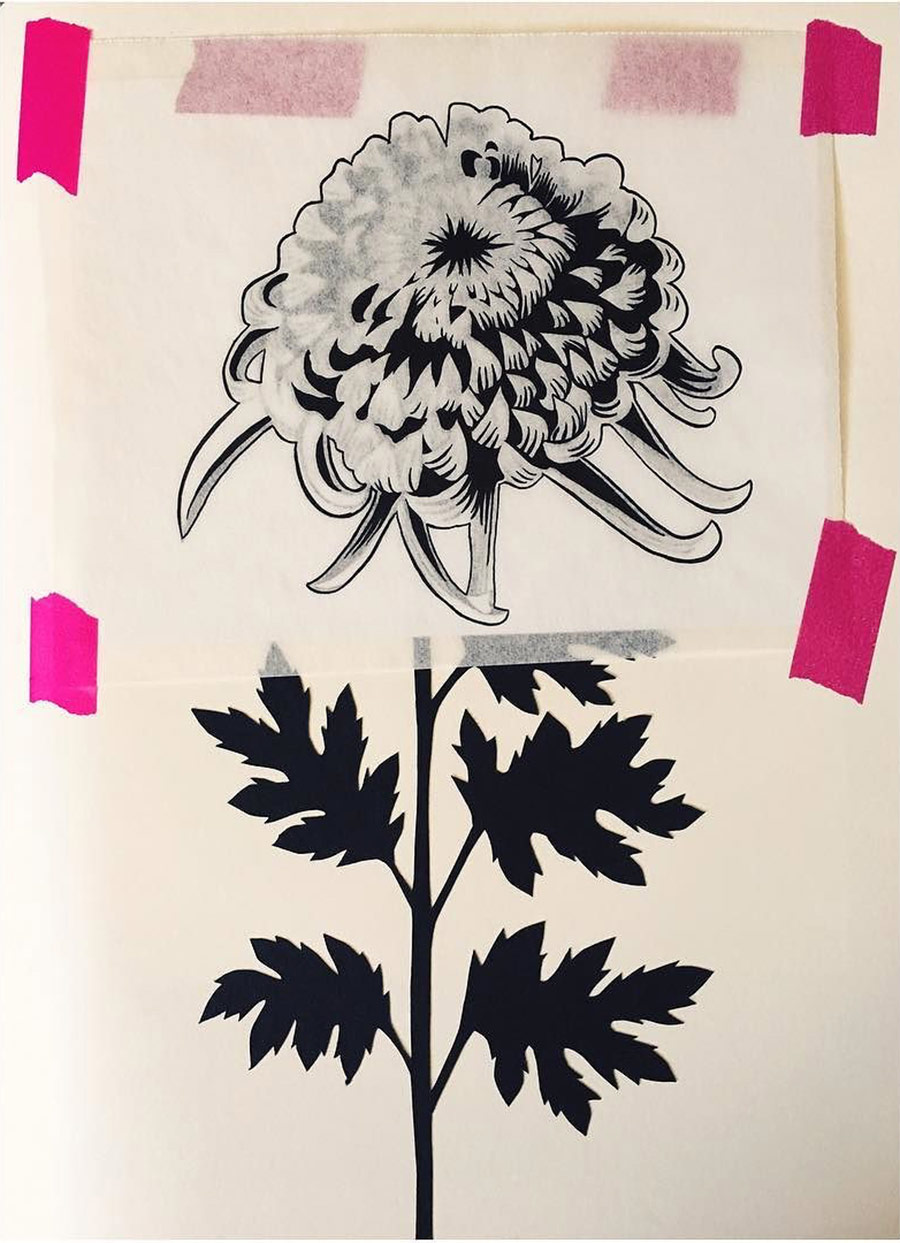 Kate Blairstone Botanical Illustration4