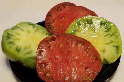 Lisa's favorites green giant and Carbon