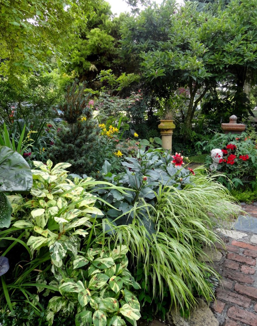 2018 HPSO / Garden Conservancy Open Day, July 14th