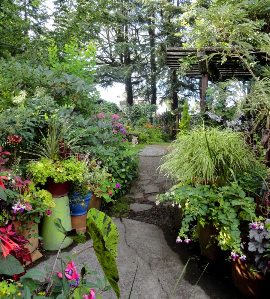 2018 HPSO / Garden Conservancy Open Day, July 14th