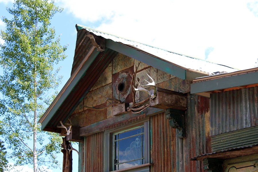 Native Plants for Oregon Gardens at Bosky Dell