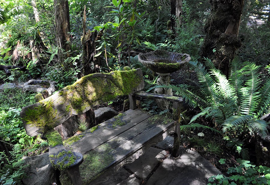Native Plants for Oregon Gardens at Bosky Dell