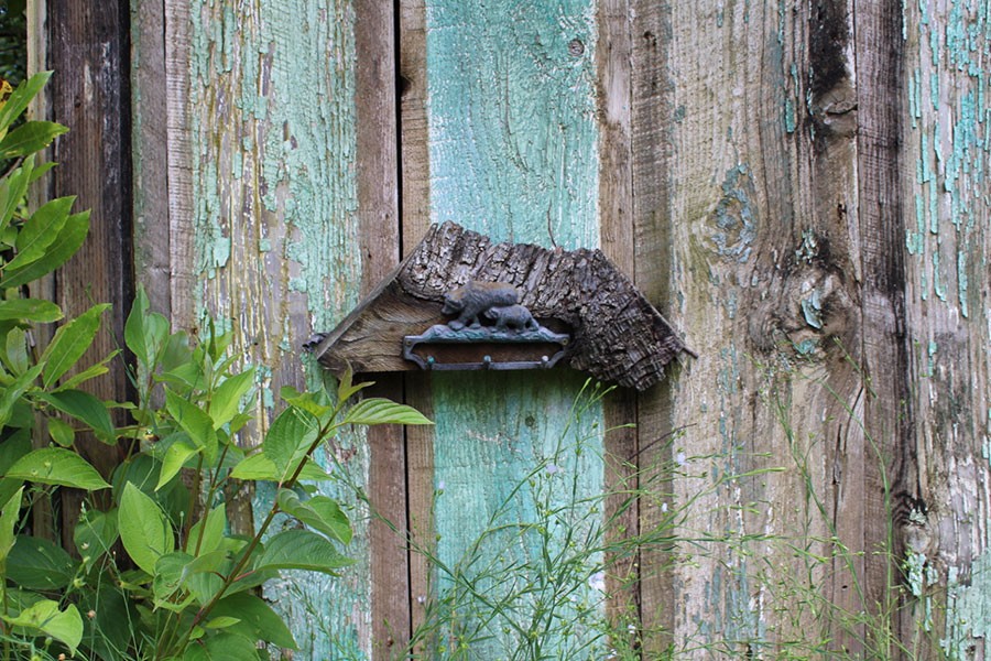 Native Plants for Oregon Gardens at Bosky Dell