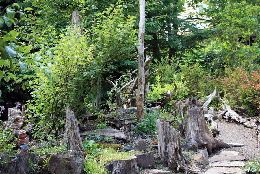 Native Plants for Oregon Gardens at Bosky Dell