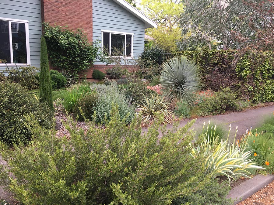 Jane Finch-Howell Garden