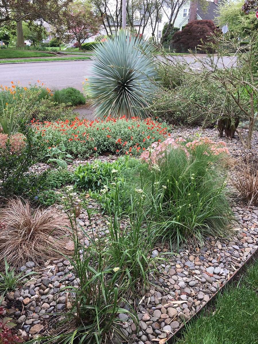 Jane Finch-Howell Garden