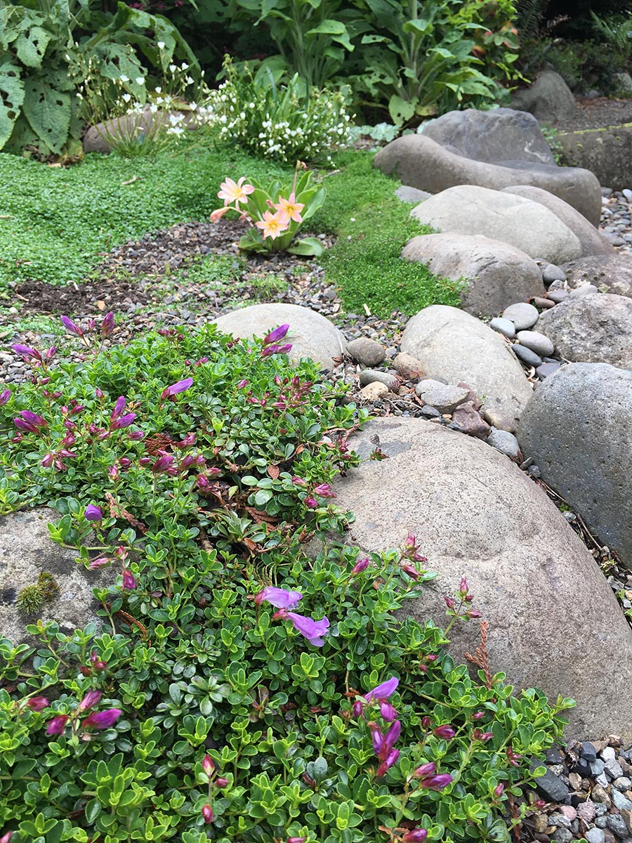 Jane Finch-Howell Garden